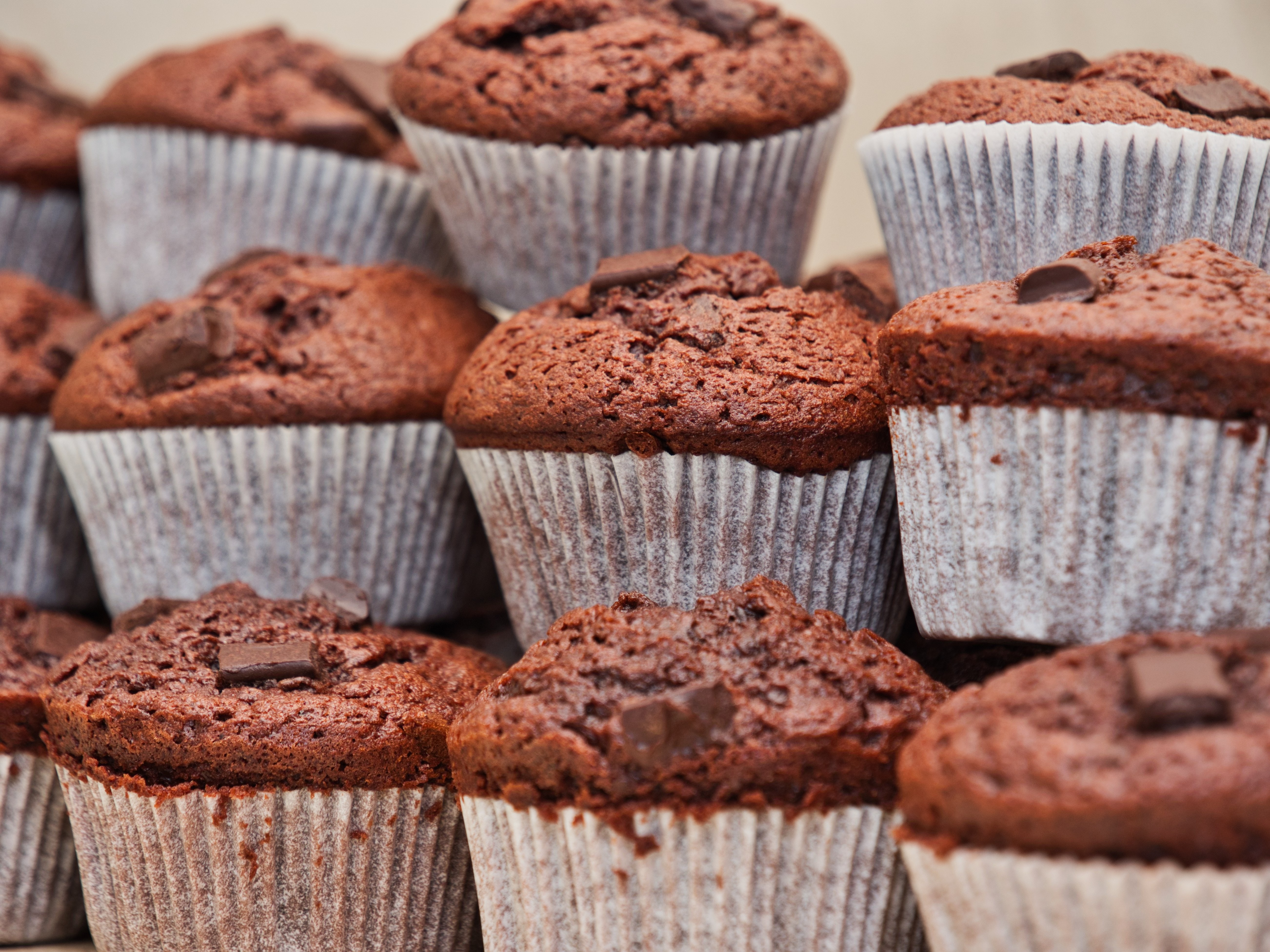 Chocolate Cupcakes
